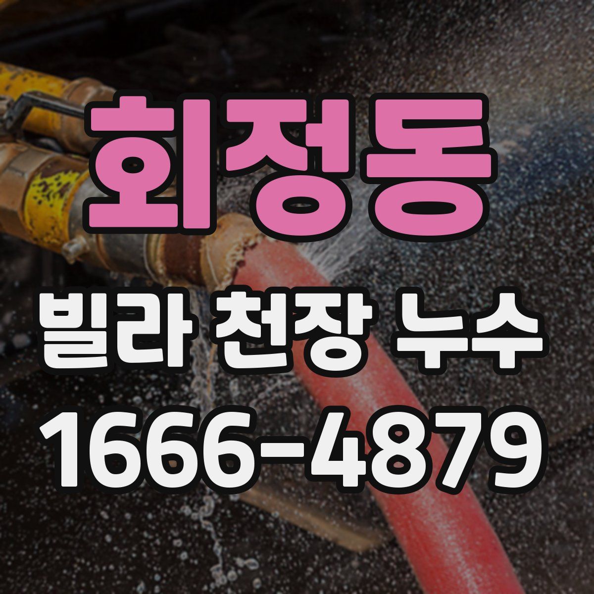 회정동 빌라 천장 누수