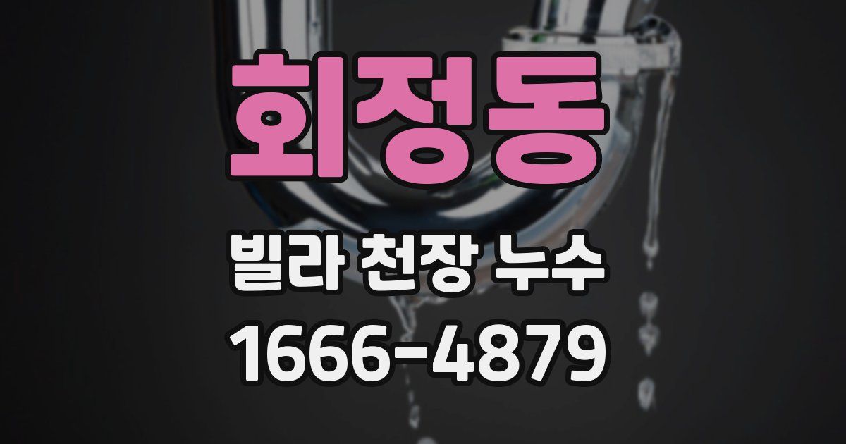 회정동 빌라 천장 누수