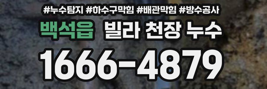 백석읍 빌라 천장 누수
