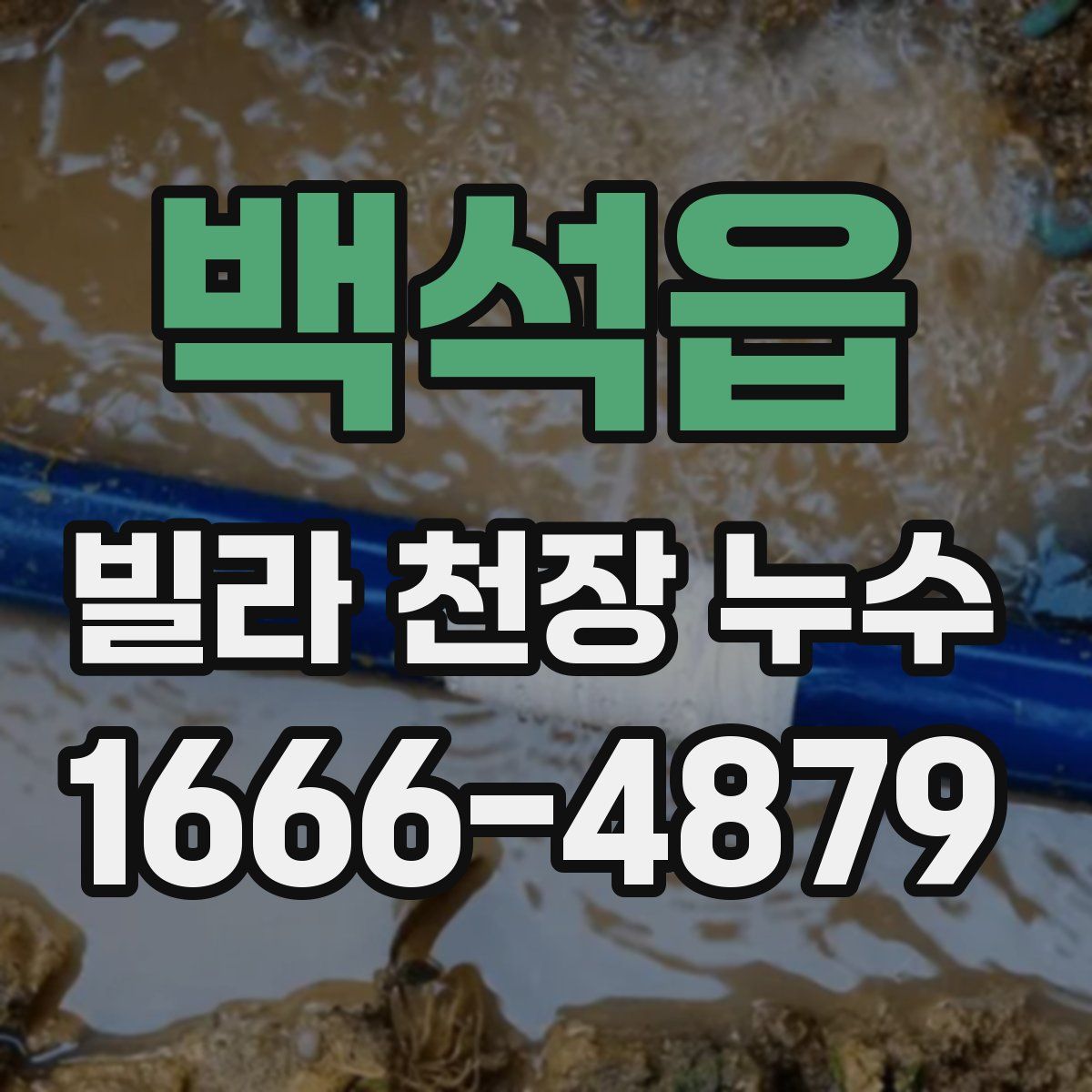 백석읍 빌라 천장 누수