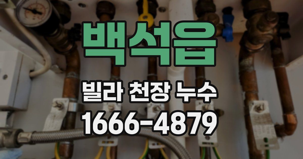 백석읍 빌라 천장 누수