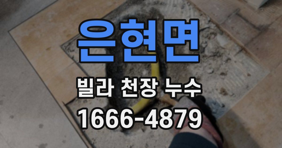 은현면 빌라 천장 누수