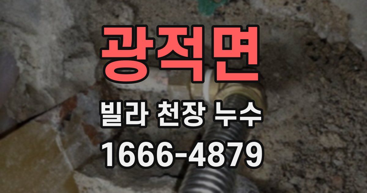 광적면 빌라 천장 누수