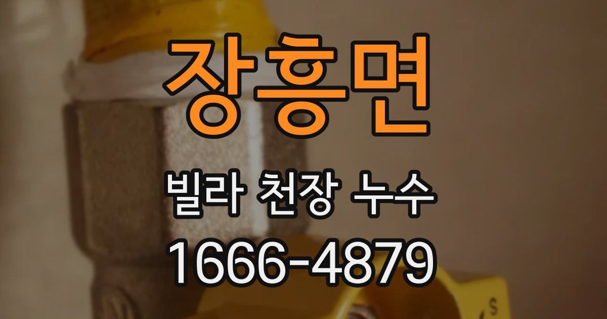 장흥면 빌라 천장 누수