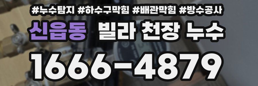 신읍동 빌라 천장 누수