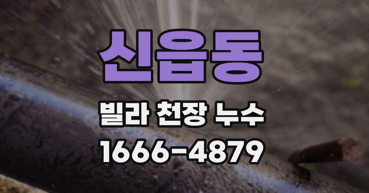신읍동 빌라 천장 누수