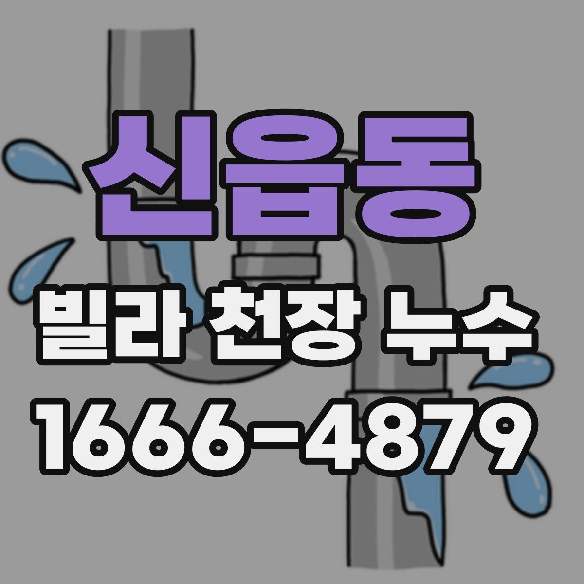 신읍동 빌라 천장 누수