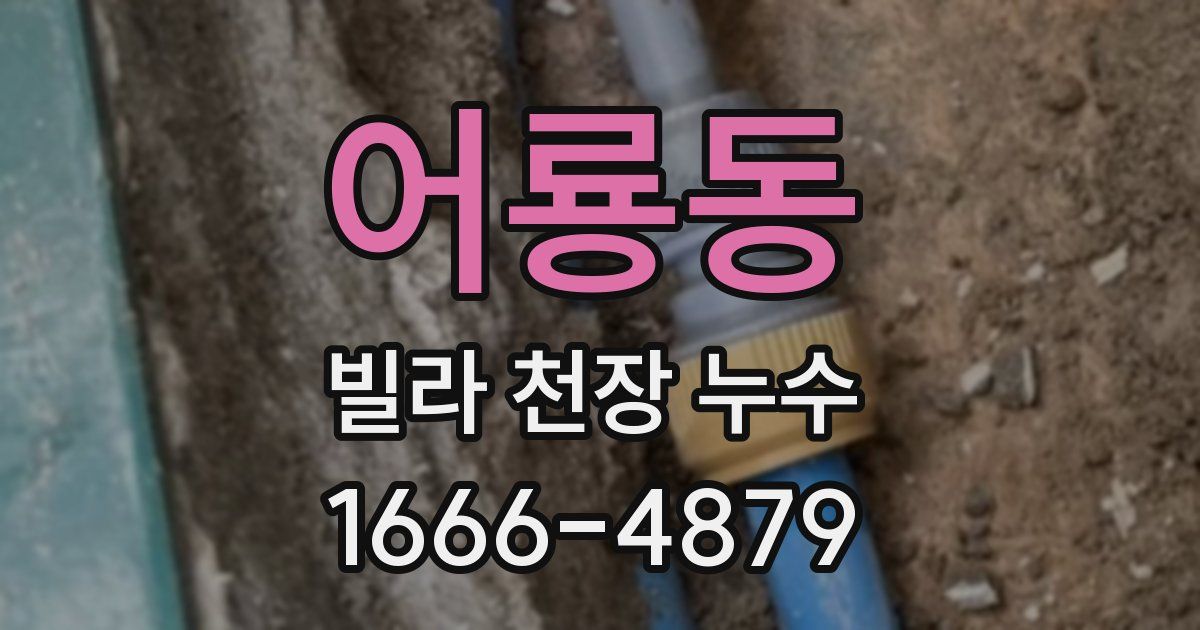 어룡동 빌라 천장 누수