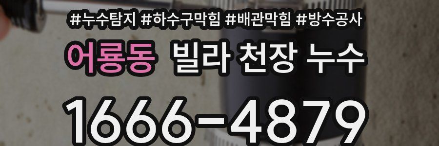 어룡동 빌라 천장 누수
