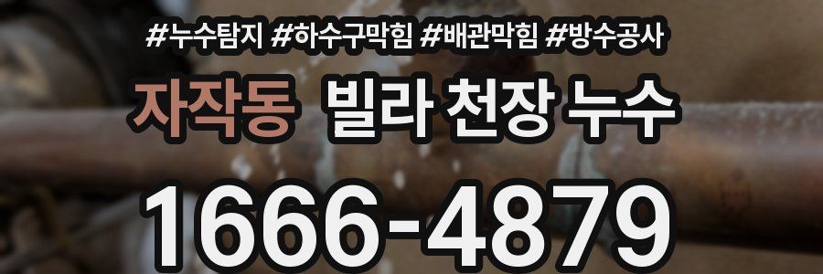 자작동 빌라 천장 누수