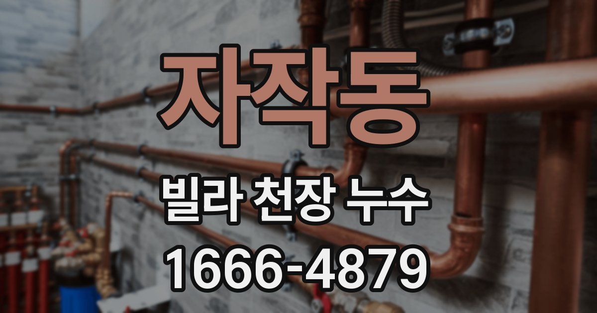 자작동 빌라 천장 누수