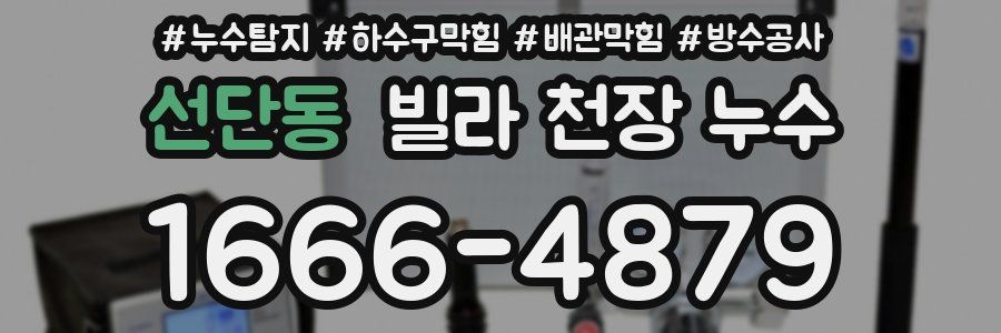 선단동 빌라 천장 누수
