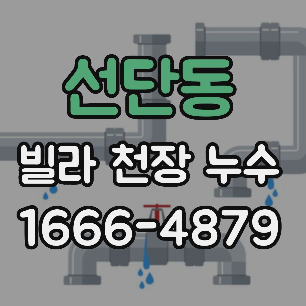 선단동 빌라 천장 누수