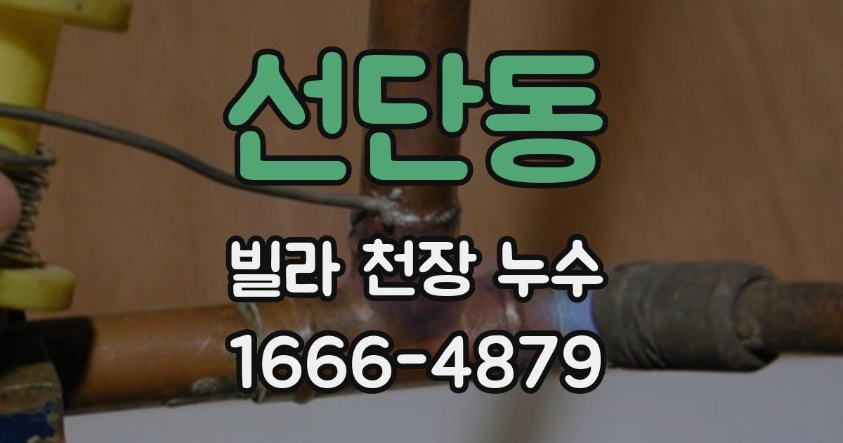 선단동 빌라 천장 누수