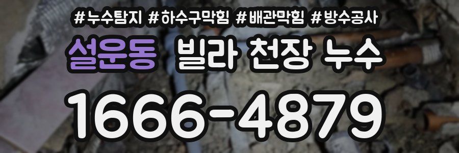 설운동 빌라 천장 누수