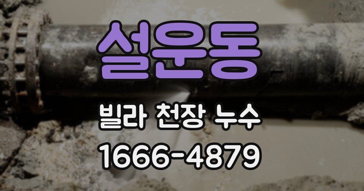 설운동 빌라 천장 누수