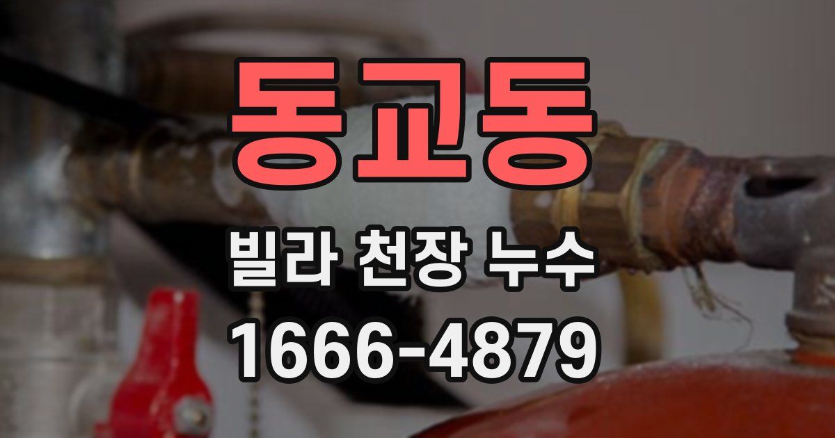 동교동 빌라 천장 누수