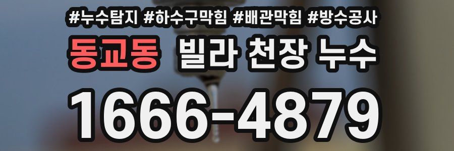 동교동 빌라 천장 누수