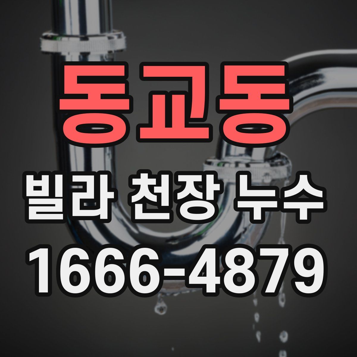 동교동 빌라 천장 누수