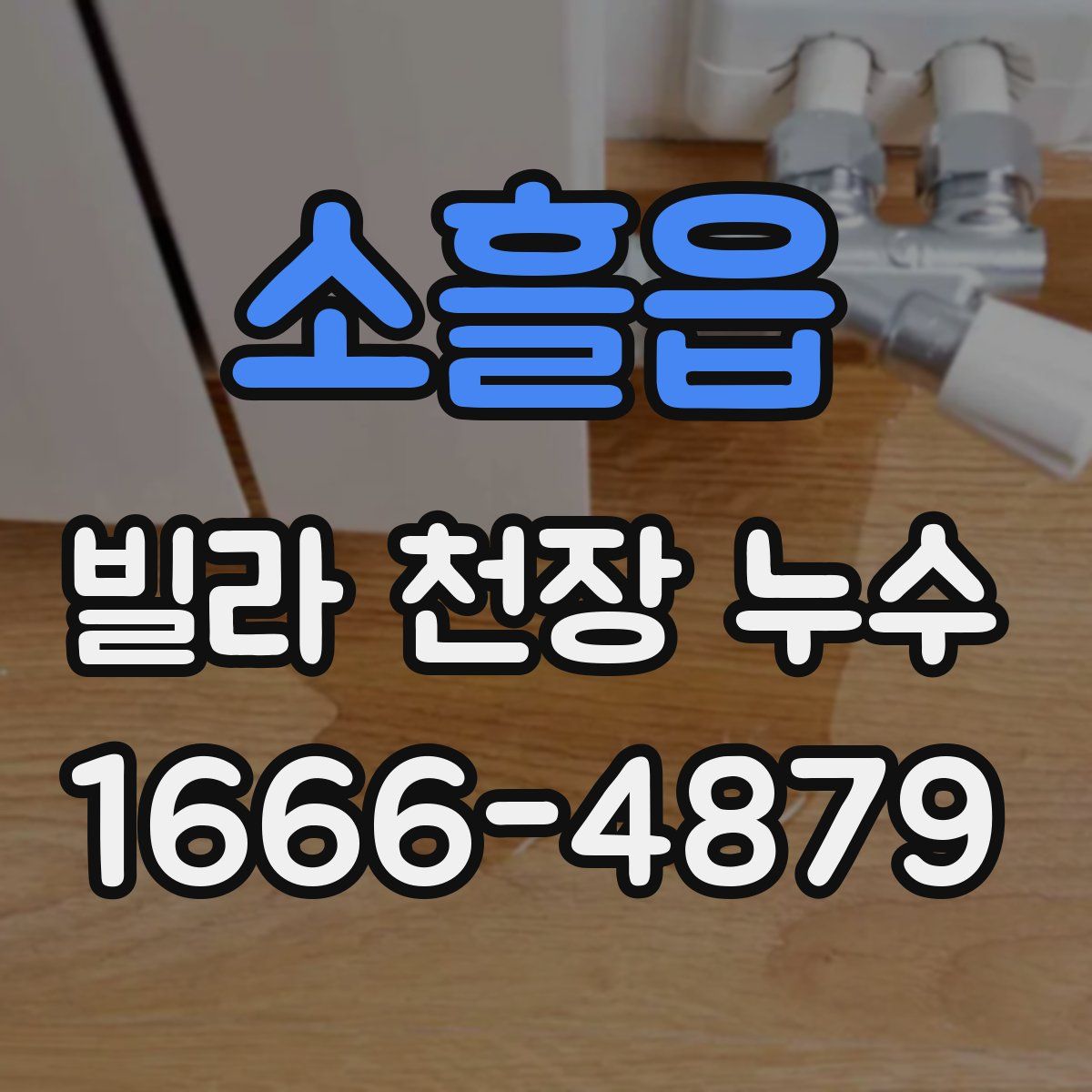 소흘읍 빌라 천장 누수