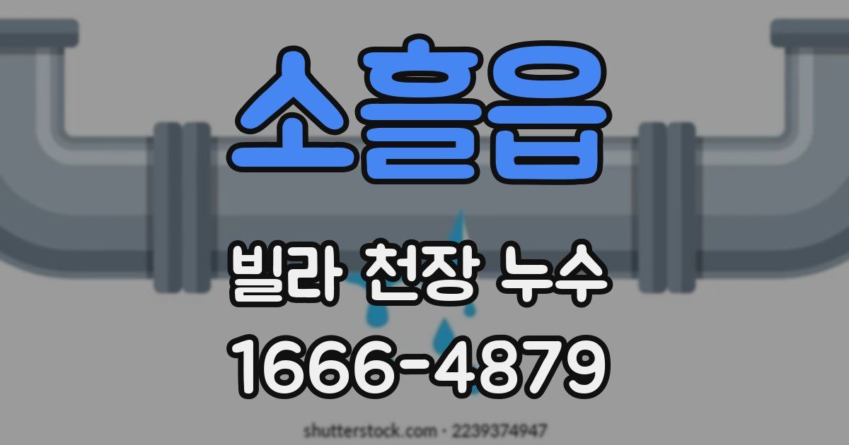 소흘읍 빌라 천장 누수