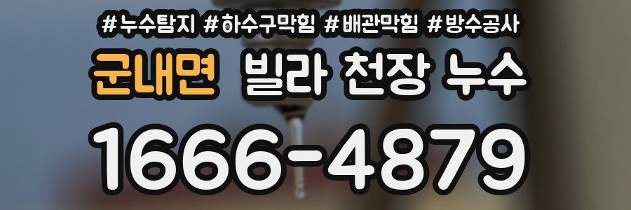 군내면 빌라 천장 누수