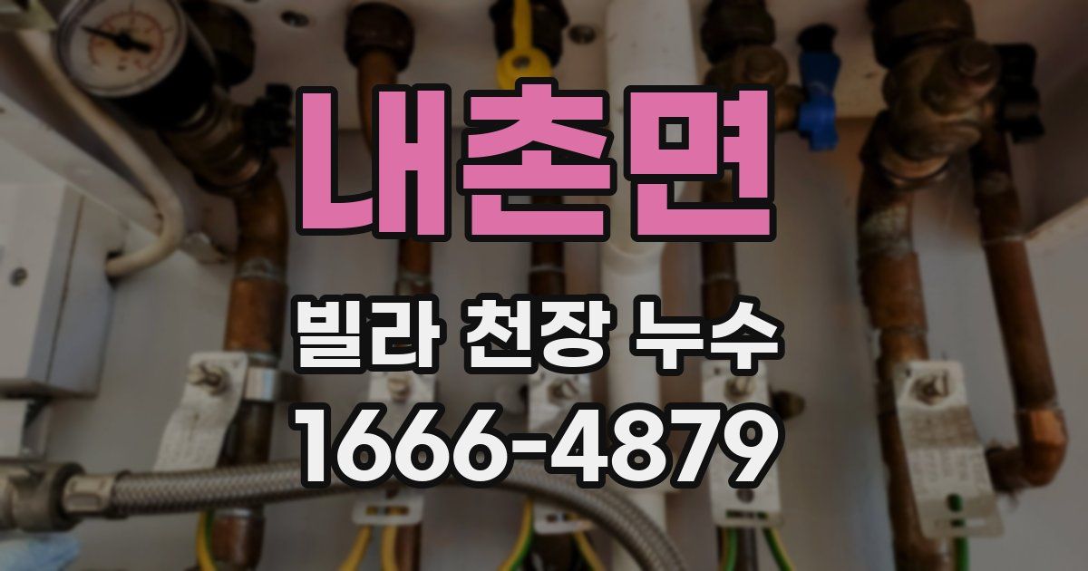 내촌면 빌라 천장 누수