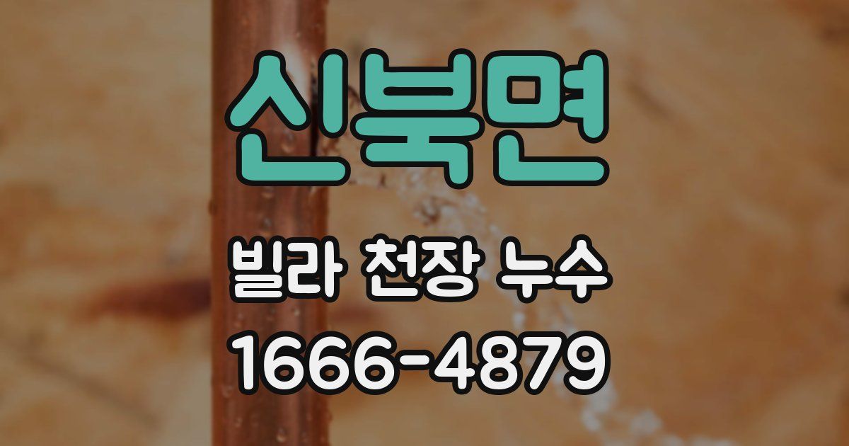신북면 빌라 천장 누수
