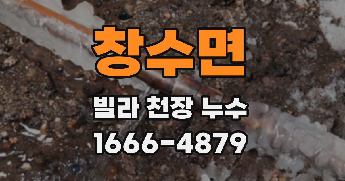 창수면 빌라 천장 누수