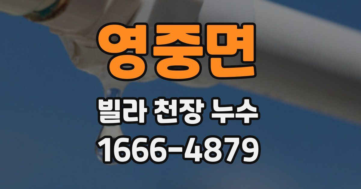 영중면 빌라 천장 누수