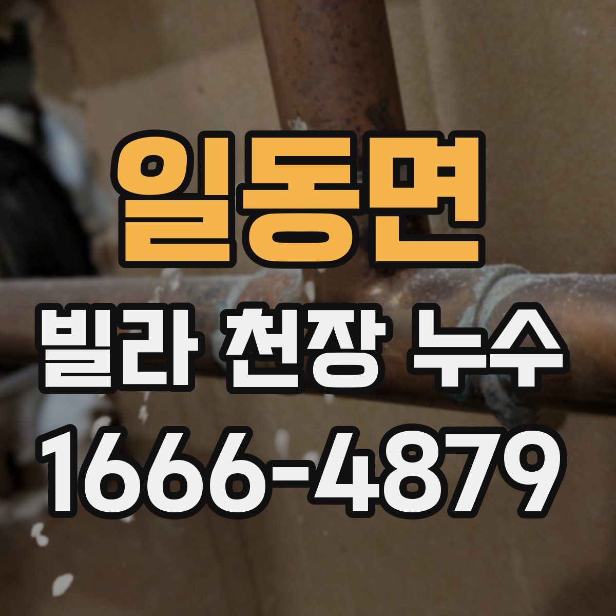 일동면 빌라 천장 누수