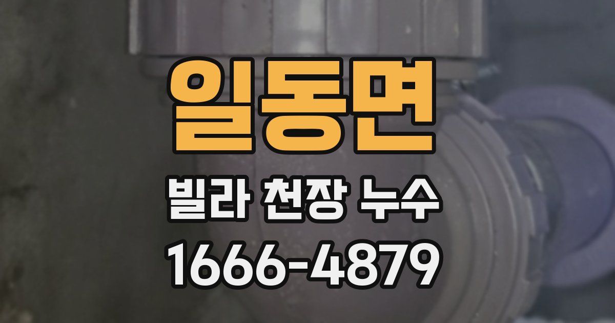 일동면 빌라 천장 누수