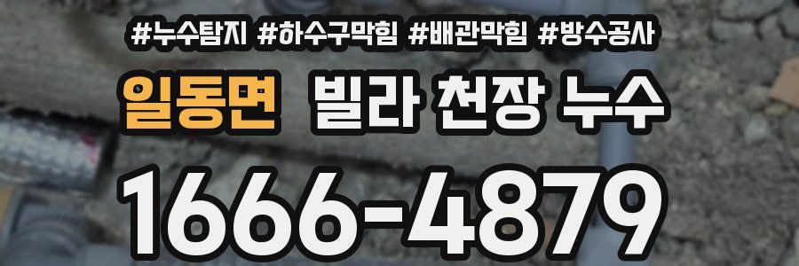 일동면 빌라 천장 누수