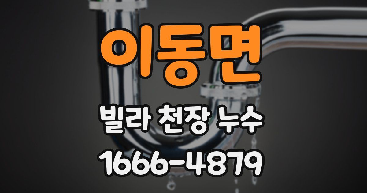 이동면 빌라 천장 누수