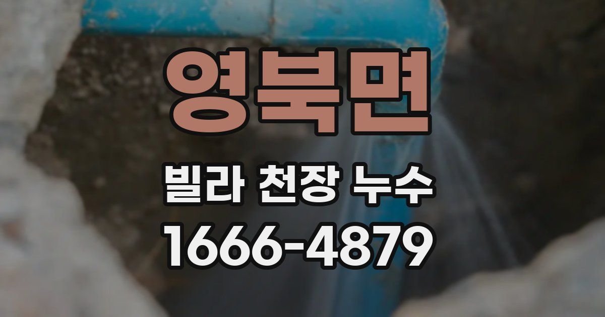 영북면 빌라 천장 누수