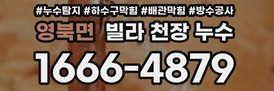 영북면 빌라 천장 누수