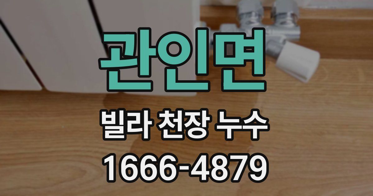 관인면 빌라 천장 누수
