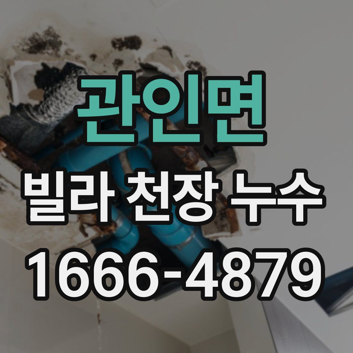관인면 빌라 천장 누수