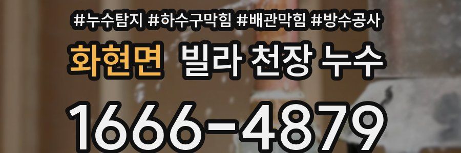 화현면 빌라 천장 누수