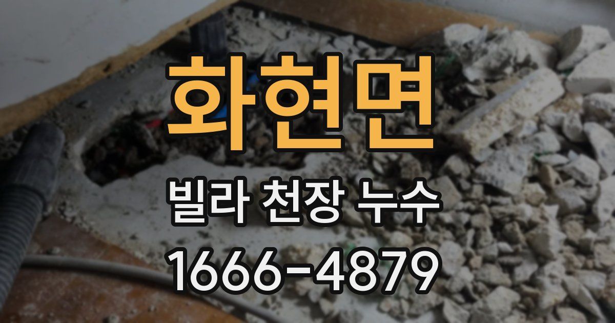 화현면 빌라 천장 누수