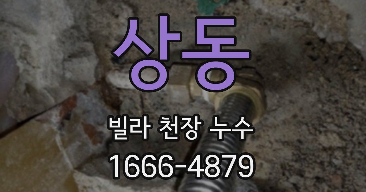 상동 빌라 천장 누수