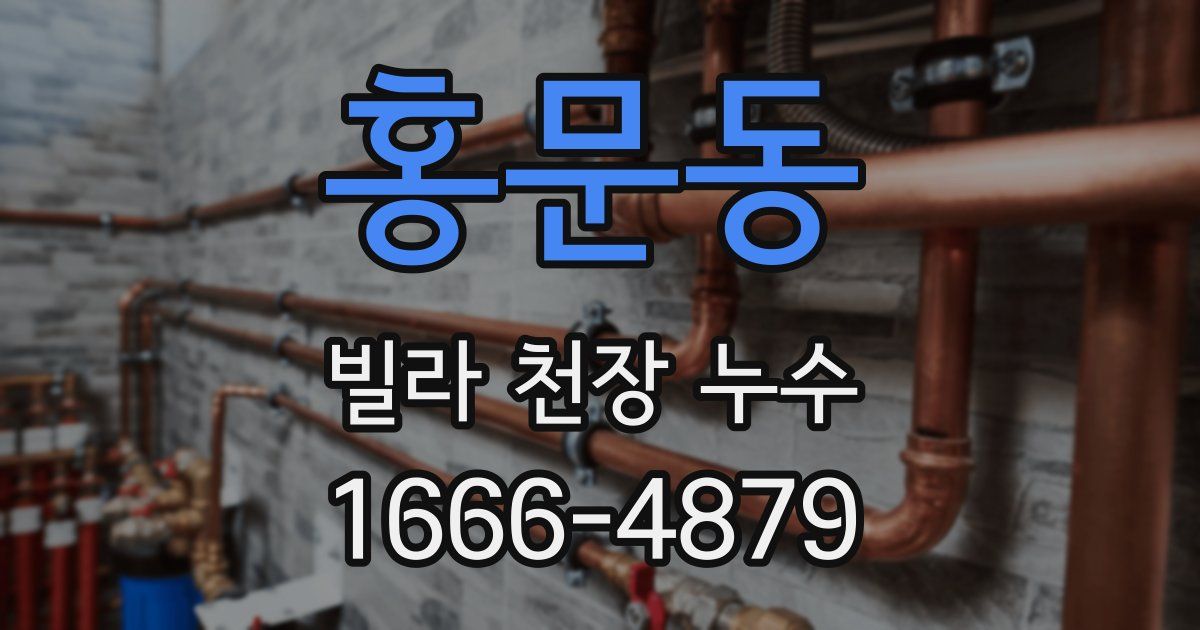 홍문동 빌라 천장 누수