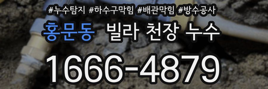홍문동 빌라 천장 누수