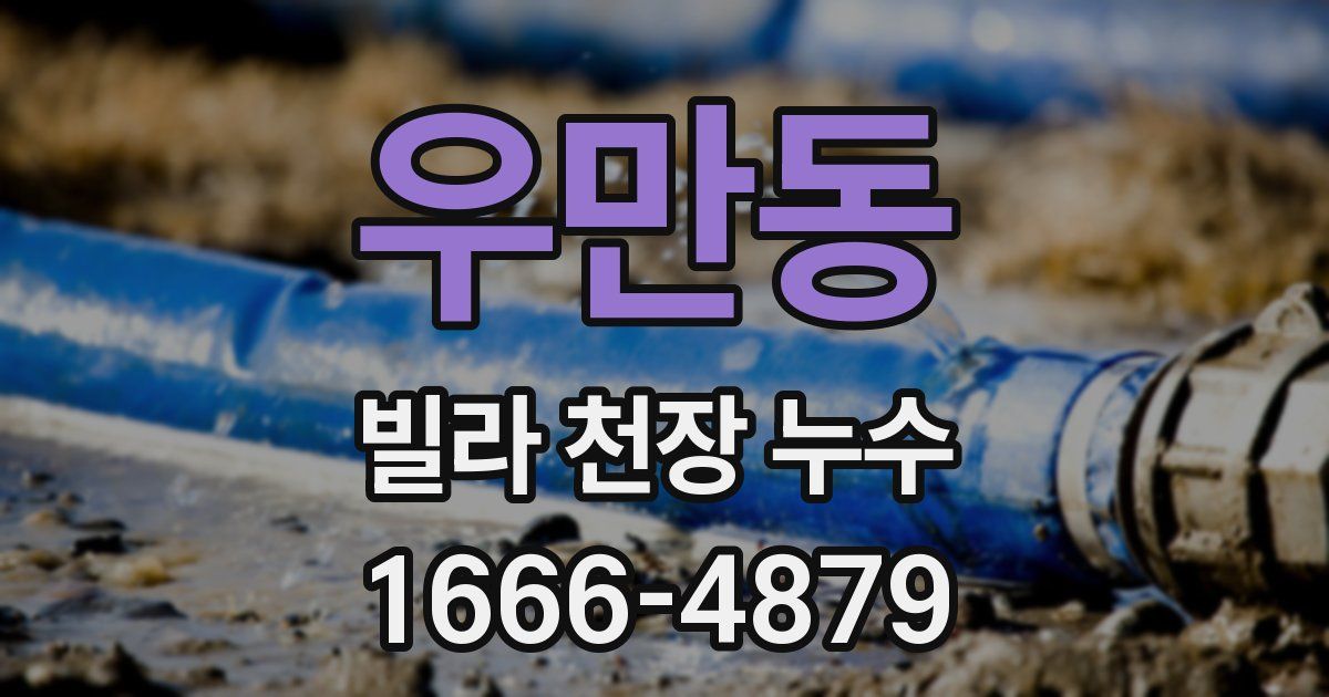 우만동 빌라 천장 누수