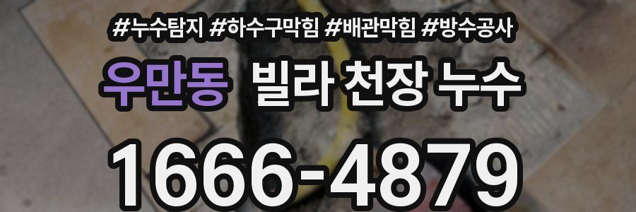 우만동 빌라 천장 누수