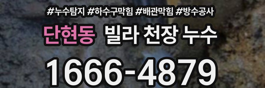 단현동 빌라 천장 누수