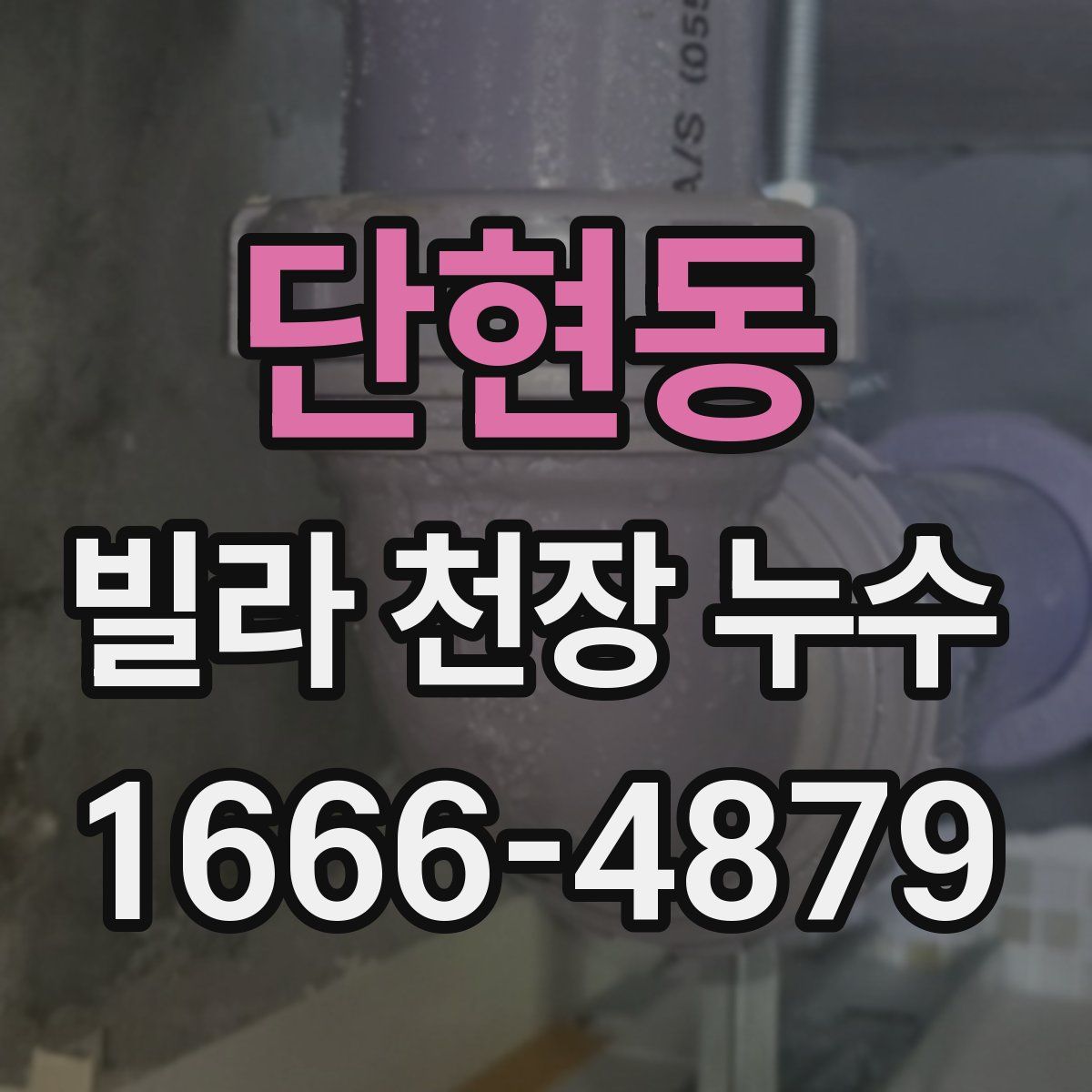 단현동 빌라 천장 누수