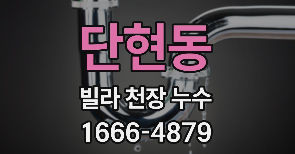 단현동 빌라 천장 누수