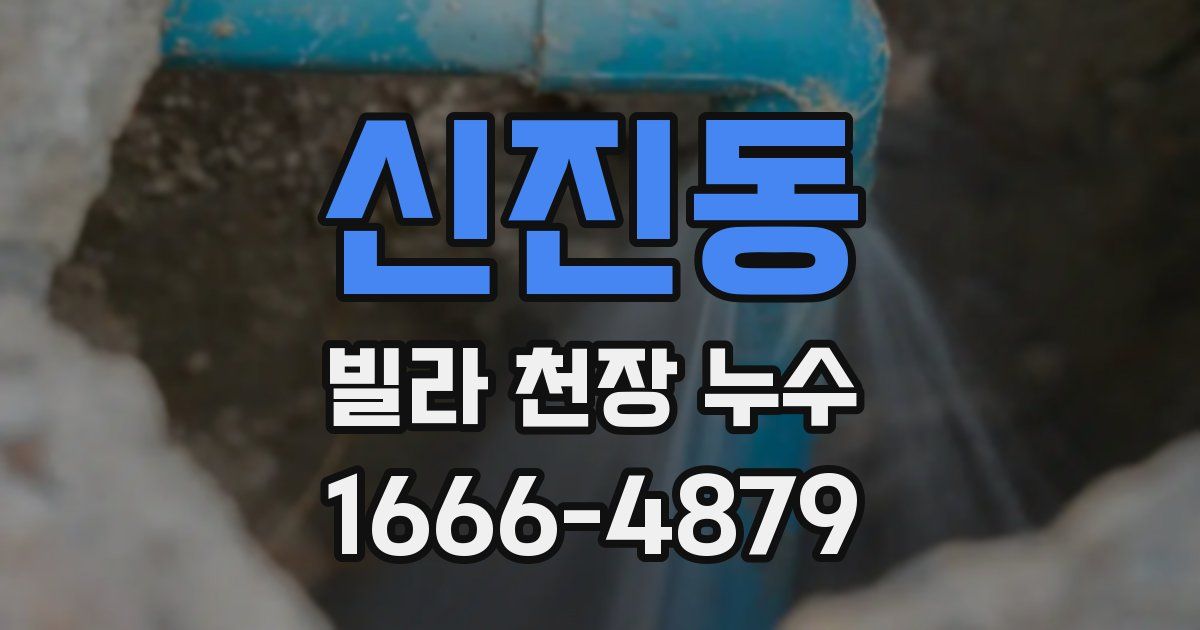 신진동 빌라 천장 누수