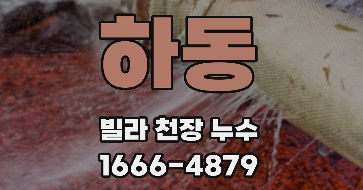 하동 빌라 천장 누수
